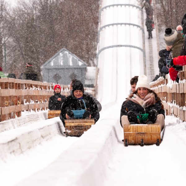 a large chocolate cake covered in snow