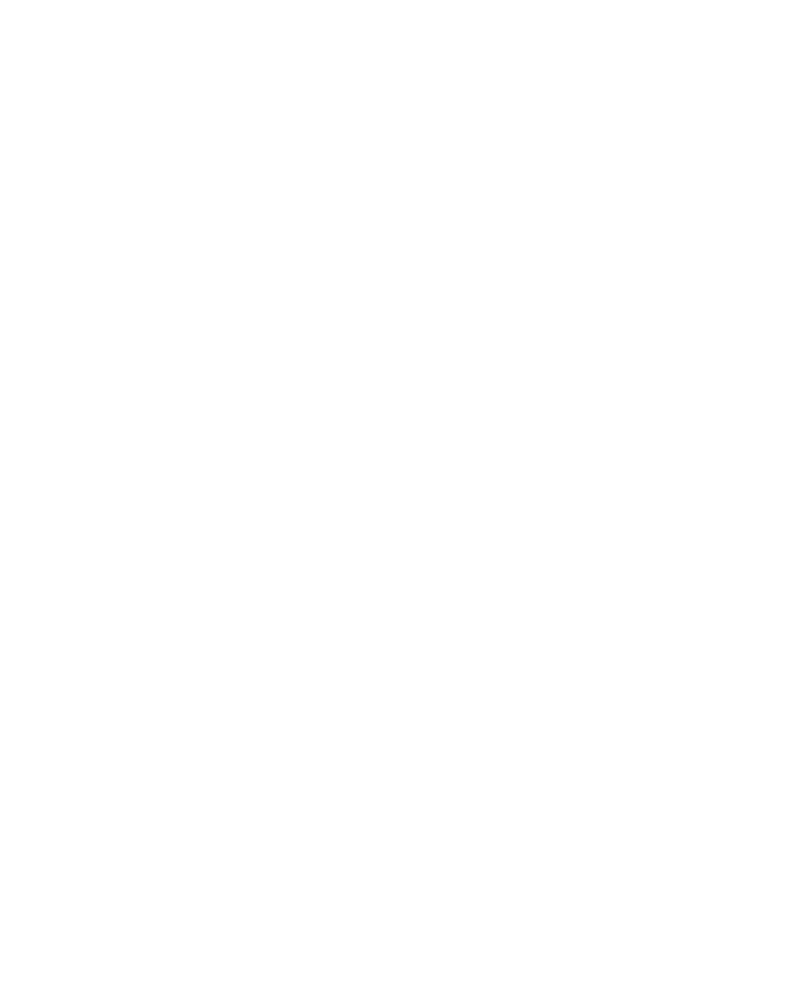 Solid white image with no visible content.