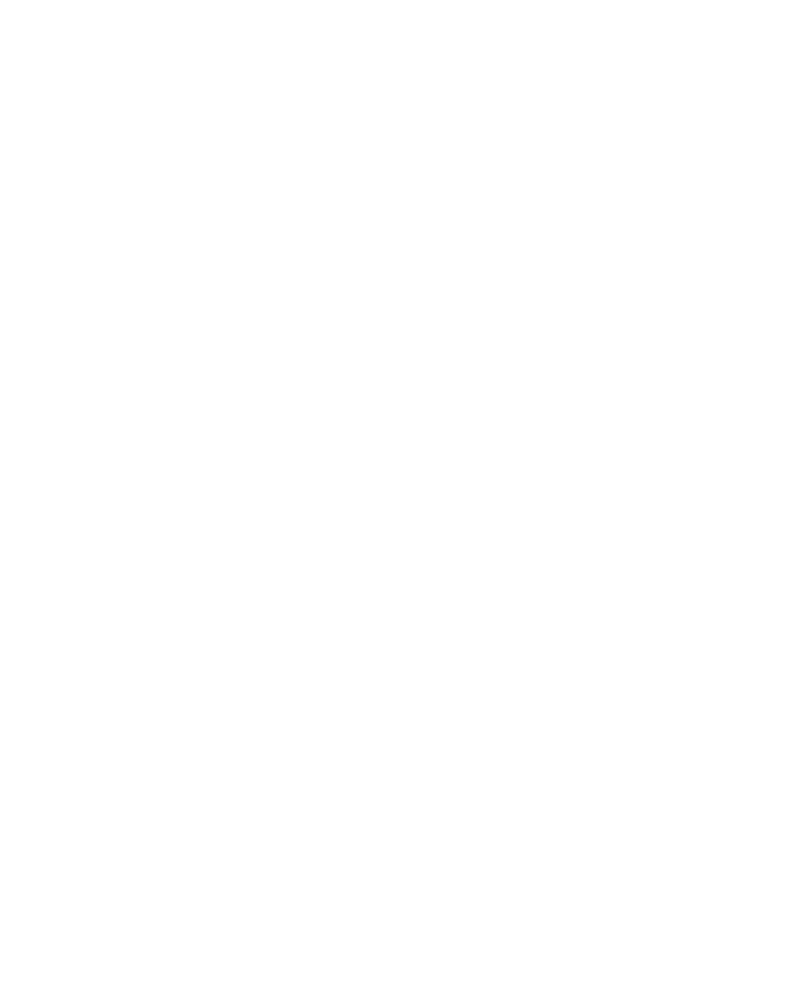 Solid white image with no visible content.