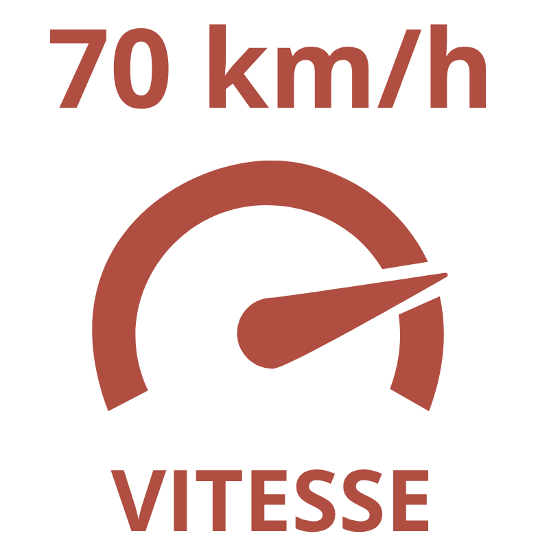 Speedometer icon showing 70 km/h with the word 'VITESSE' below.